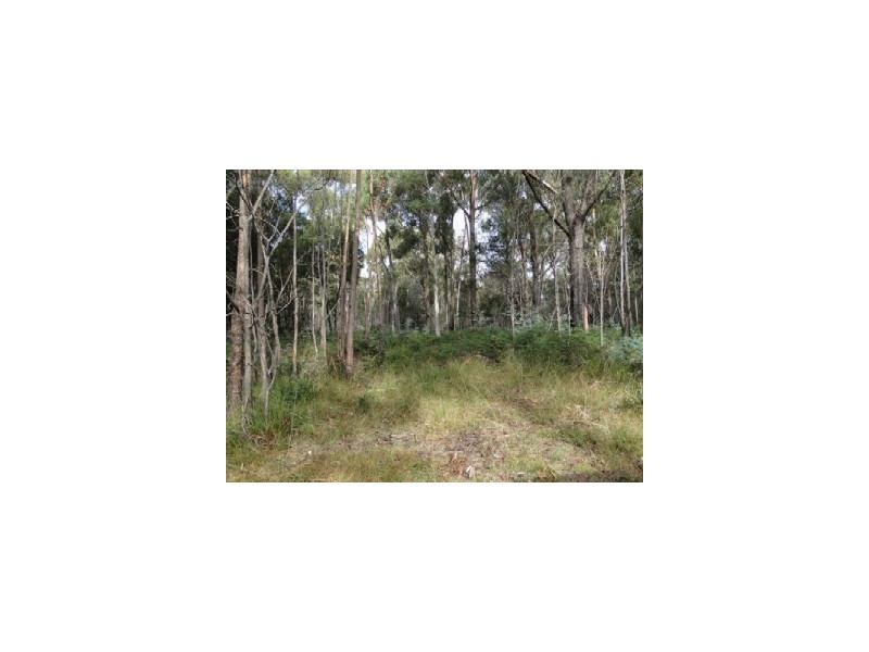 Lot 37064 Wilkins Road, Chain Of Lagoons TAS 7215