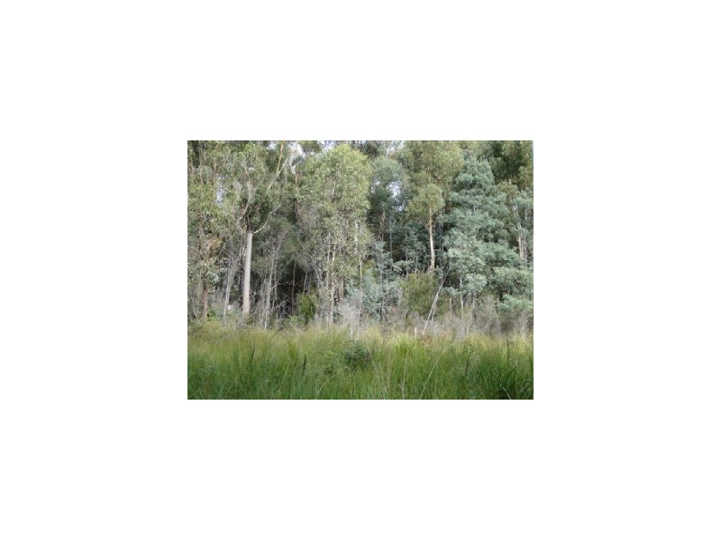 Lot 37064 Wilkins Road, Chain Of Lagoons TAS 7215