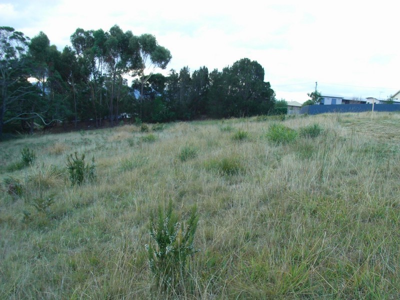 20 Douglas Court, St Helens TAS 7216