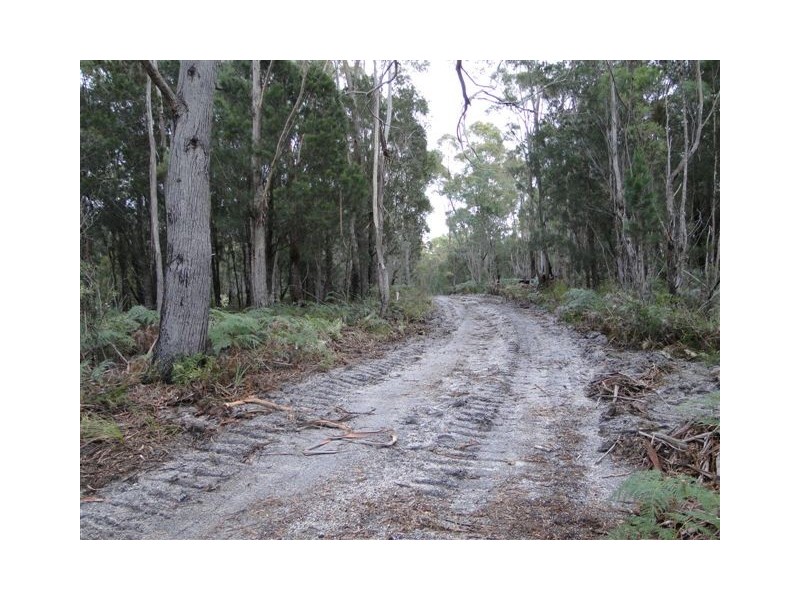 Lot 6 Canhams Road, St Helens TAS 7216