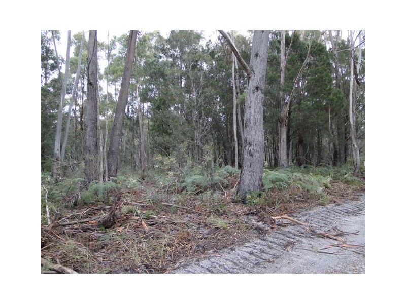 Lot 6 Canhams Road, St Helens TAS 7216