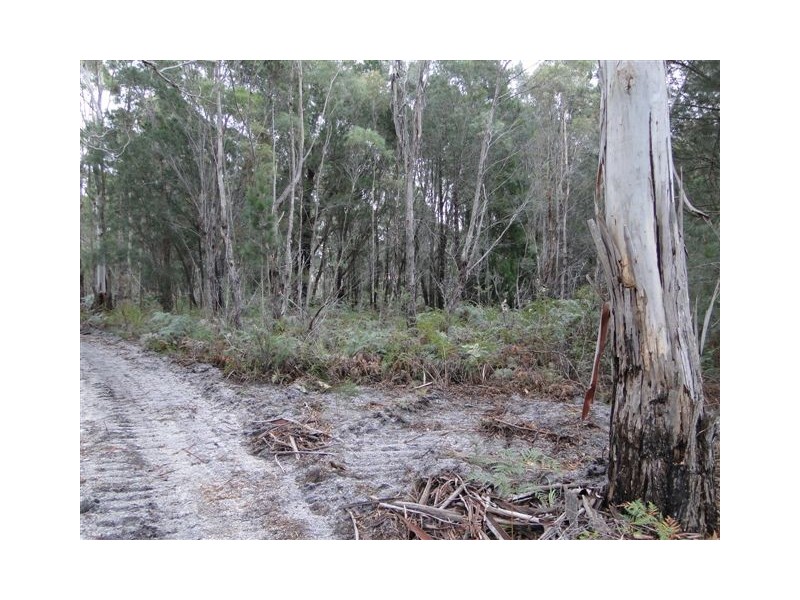Lot 6 Canhams Road, St Helens TAS 7216