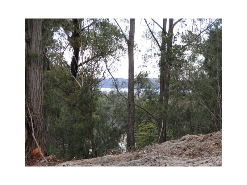 Lot 6 Canhams Road, St Helens TAS 7216