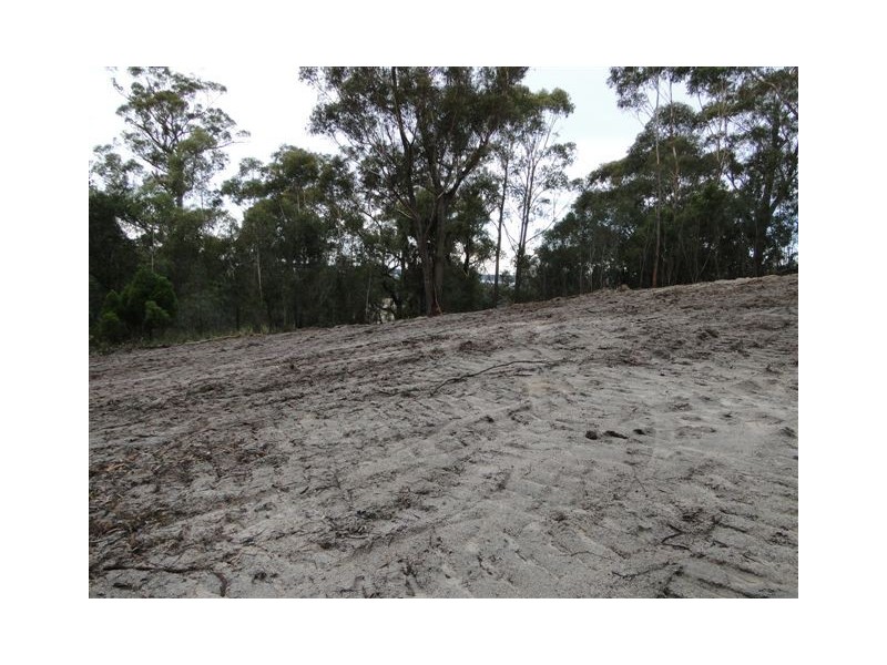 Lot 6 Canhams Road, St Helens TAS 7216