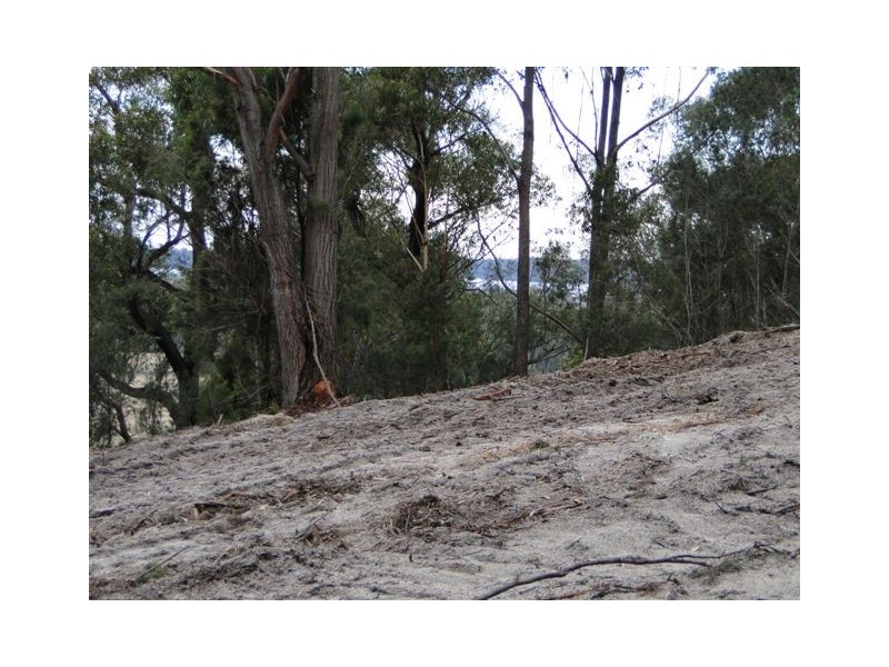 Lot 6 Canhams Road, St Helens TAS 7216