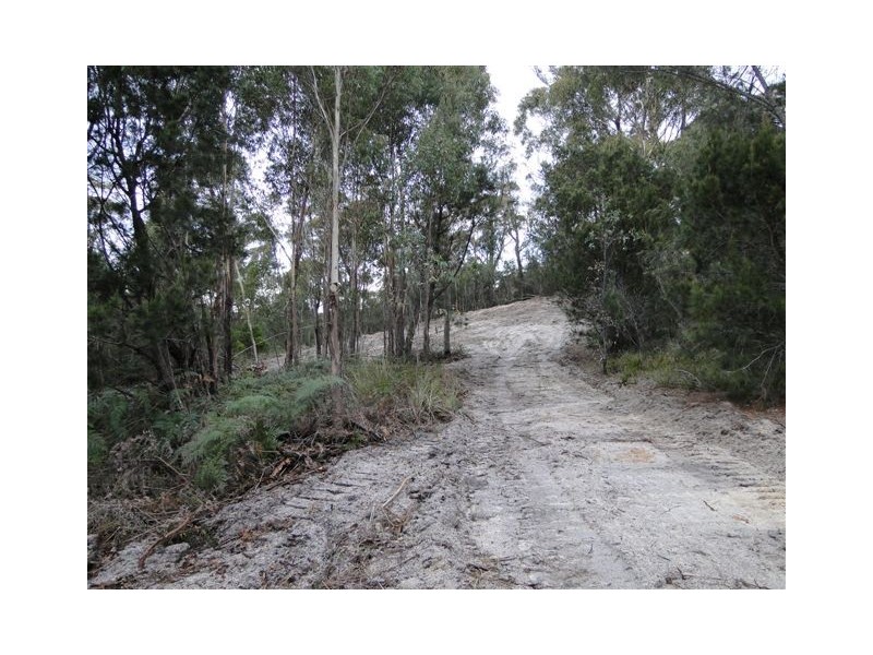 Lot 6 Canhams Road, St Helens TAS 7216