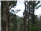 Irishtown Road, St Marys TAS 7215