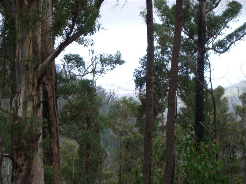 Irishtown Road, St Marys TAS 7215
