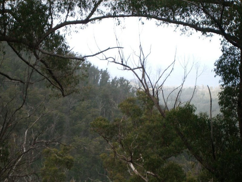 Irishtown Road, St Marys TAS 7215