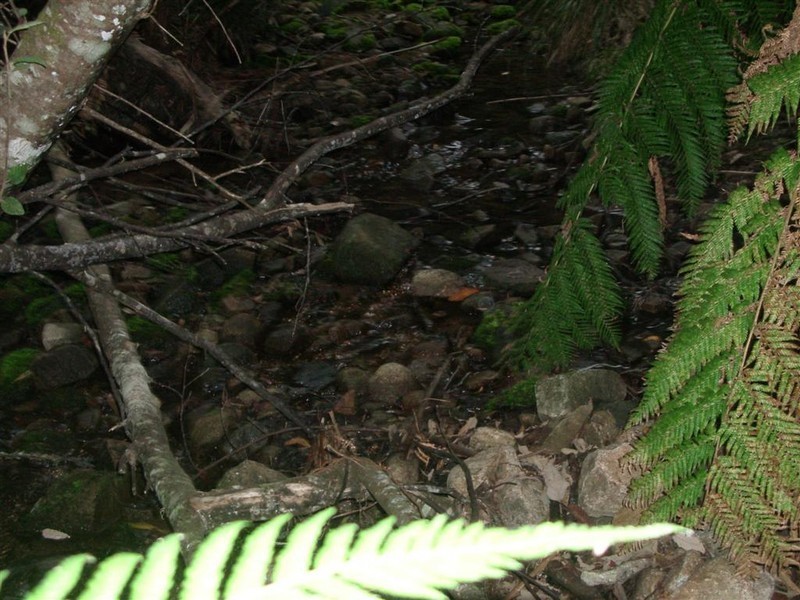 Irishtown Road, St Marys TAS 7215