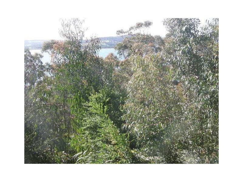 Lot 15 (112) St Helens Point Road, Stieglitz TAS 7216
