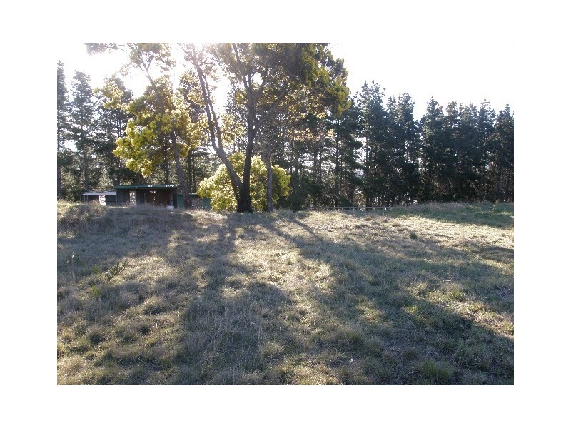 8 Idas Court, St Helens TAS 7216