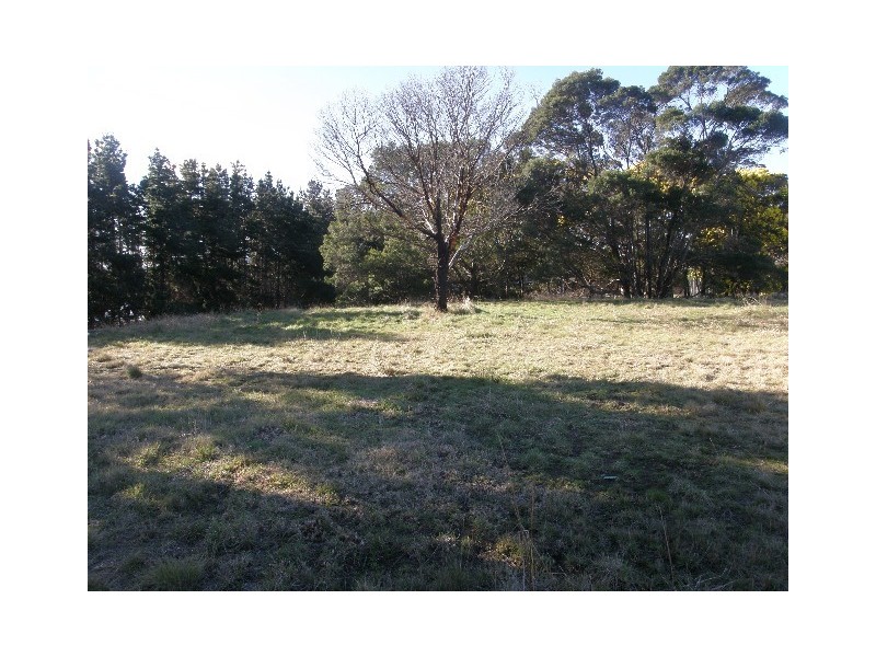 8 Idas Court, St Helens TAS 7216