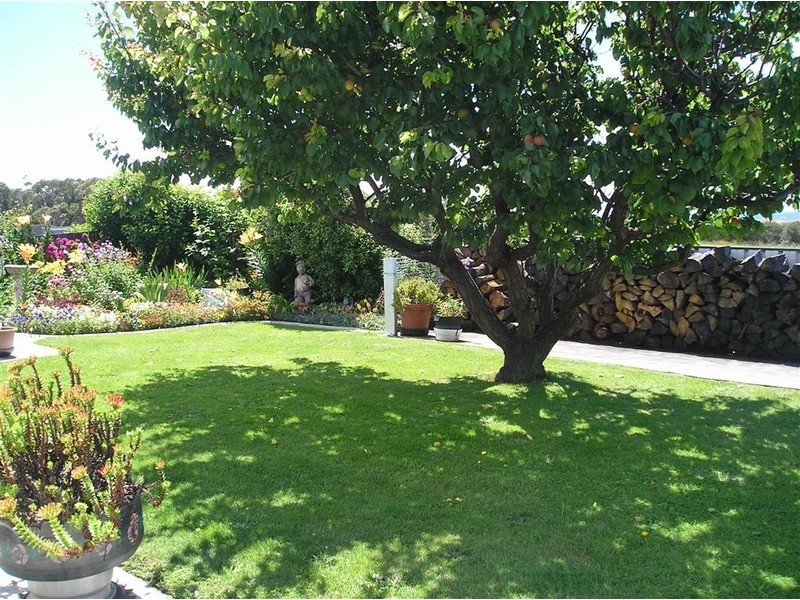 137 Scamander Avenue, Scamander TAS 7215