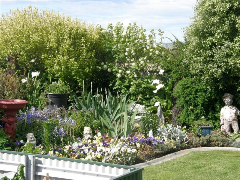 137 Scamander Avenue, Scamander TAS 7215