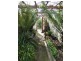 27 Moriarty Road, Stieglitz TAS 7216