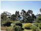 16 Atlas Drive, St Helens TAS 7216