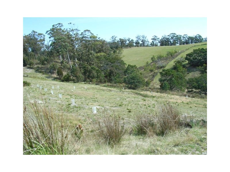 Lot 106 Susan Court, St Helens TAS 7216