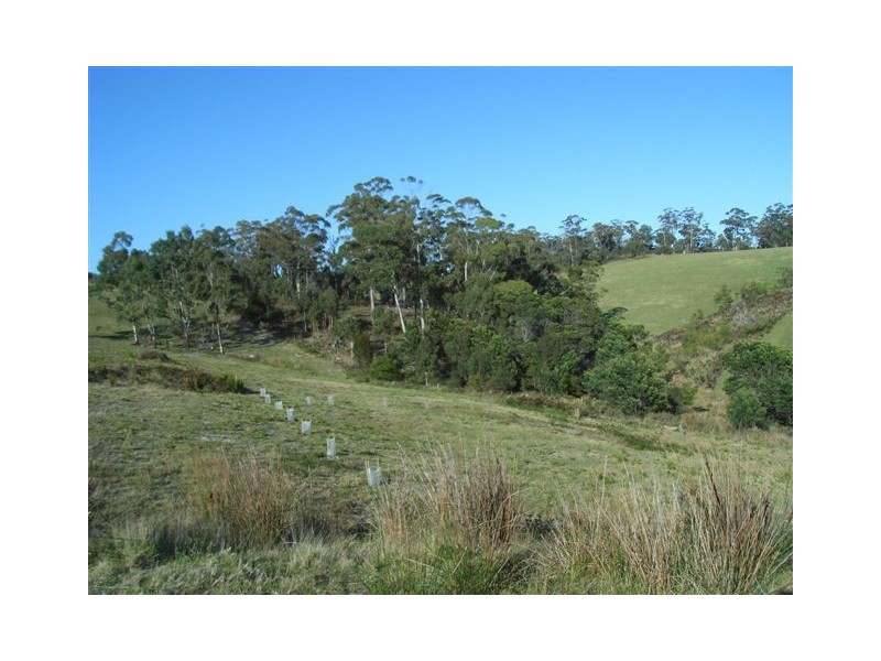 Lot 106 Susan Court, St Helens TAS 7216