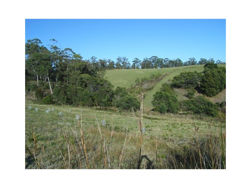 Lot 106 Susan Court, St Helens TAS 7216