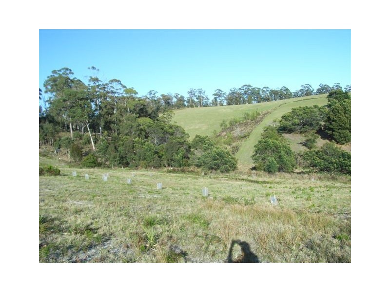 Lot 106 Susan Court, St Helens TAS 7216
