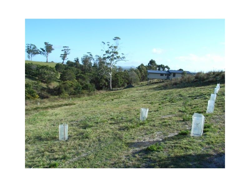 Lot 106 Susan Court, St Helens TAS 7216