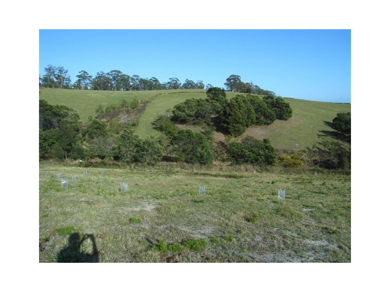 Lot 106 Susan Court, St Helens TAS 7216