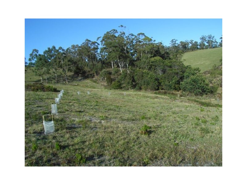 Lot 106 Susan Court, St Helens TAS 7216