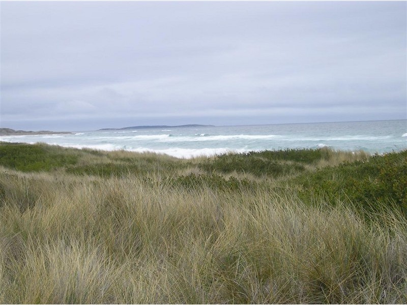 10 Byatt Court, Scamander TAS 7215