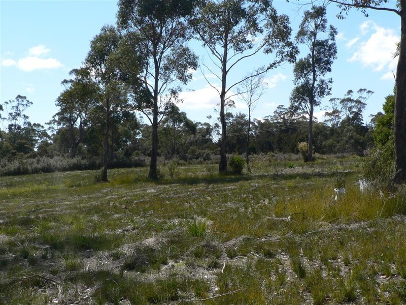 26414 Tasman Highway, Goshen TAS 7216