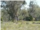 26414 Tasman Highway, Goshen TAS 7216