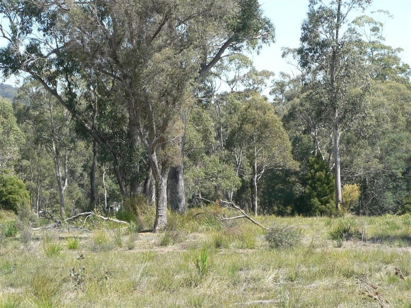 26414 Tasman Highway, Goshen TAS 7216