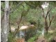 26414 Tasman Highway, Goshen TAS 7216