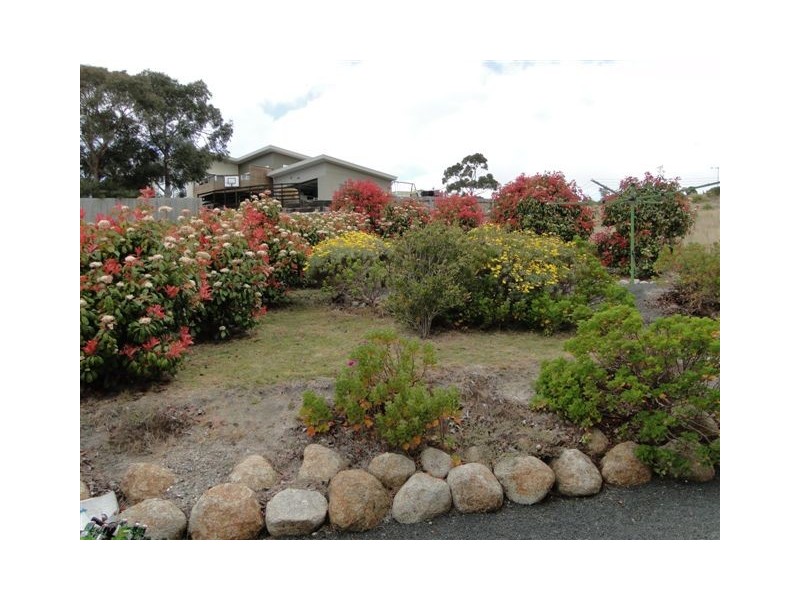 17 Erythos Grove, St Helens TAS 7216