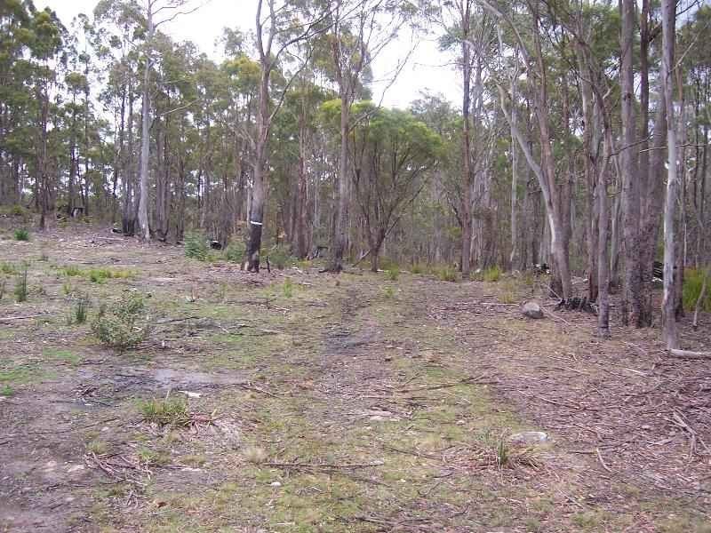 Lot 4 Main Esk Road, St Marys TAS 7215