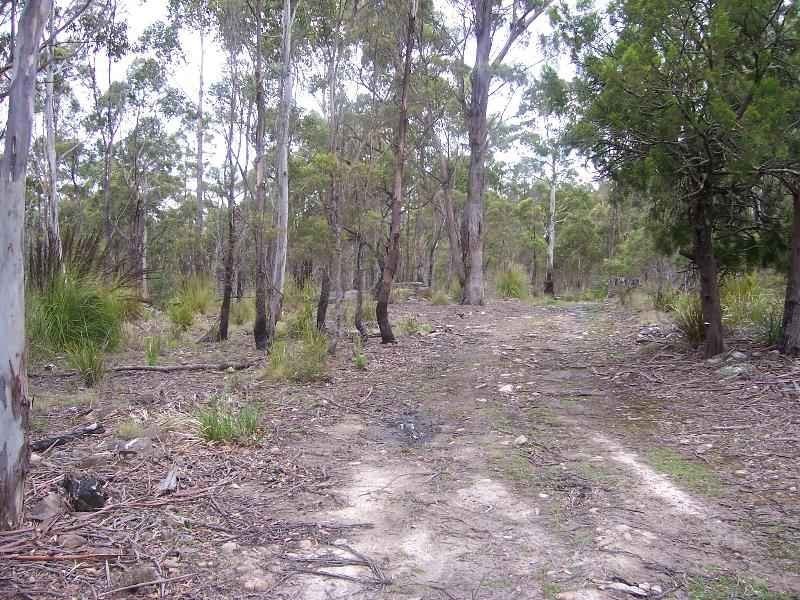 Lot 4 Main Esk Road, St Marys TAS 7215