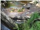 100 Terry’s Hill Road, Goshen TAS 7216
