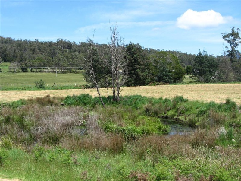 100 Terry’s Hill Road, Goshen TAS 7216