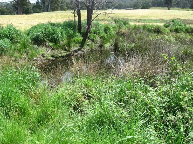 100 Terry’s Hill Road, Goshen TAS 7216