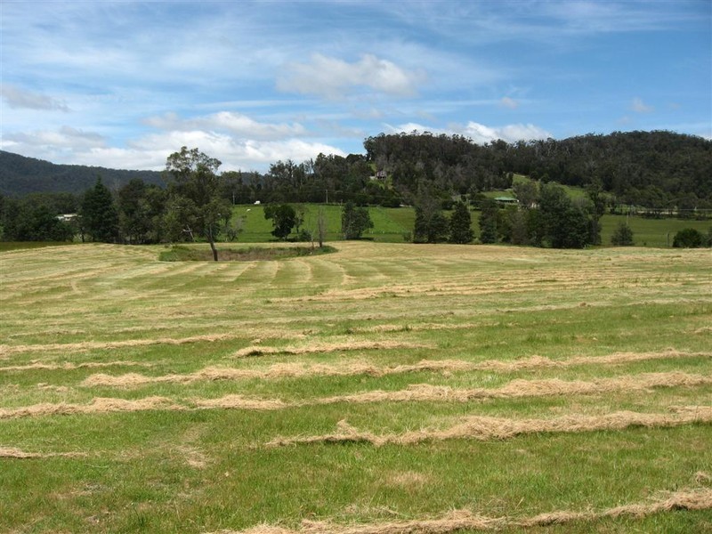 100 Terry’s Hill Road, Goshen TAS 7216