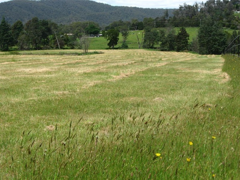 100 Terry’s Hill Road, Goshen TAS 7216