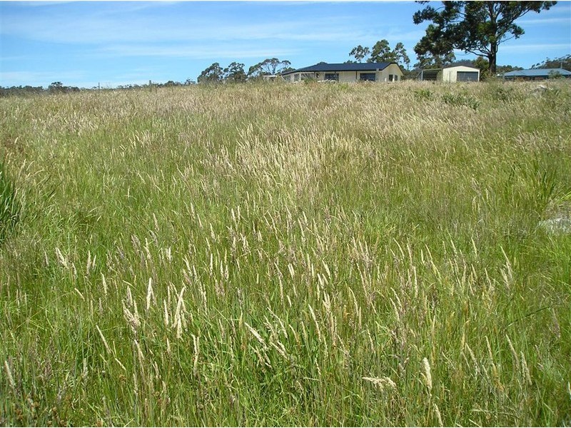 67 Lawry Heights, St Helens TAS 7216