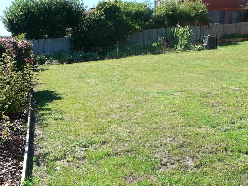 1 Mimosa Street, St Helens TAS 7216