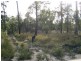 Lot 2 Tasman Highway, St Helens TAS 7216