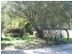 2 Longhill Place, St Helens TAS 7216