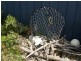 2 Lagoon Esplanade, Scamander TAS 7215