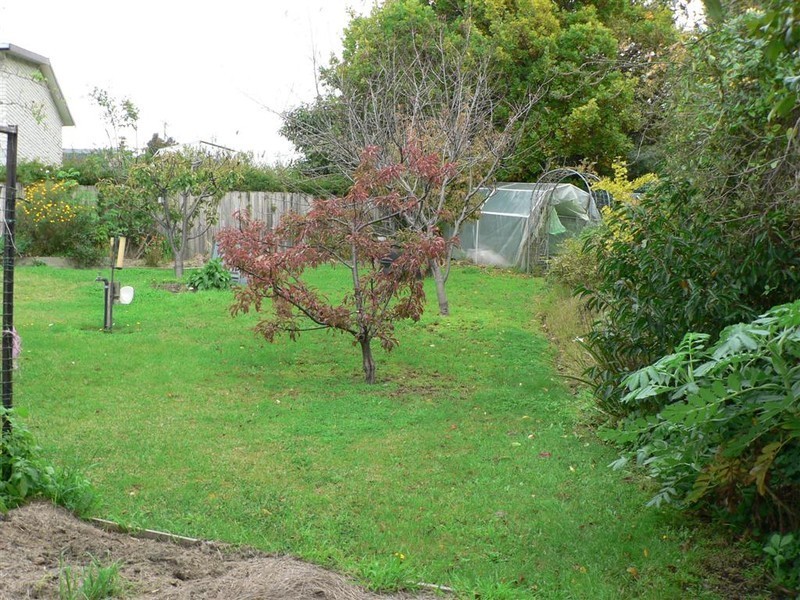 5 Doric Grove, St Helens TAS 7216