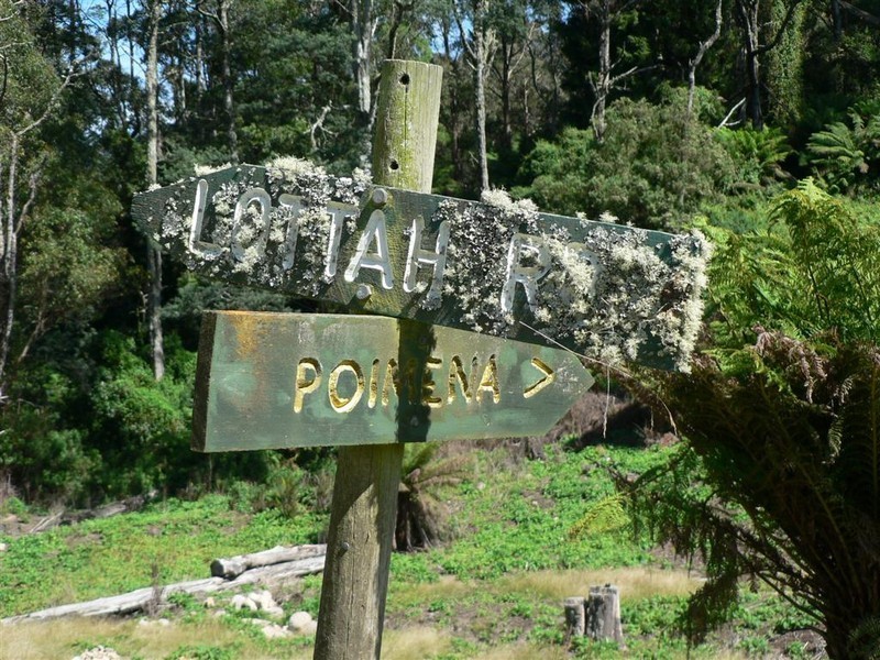 Lot 3 Lottah Road, Lottah TAS 7216