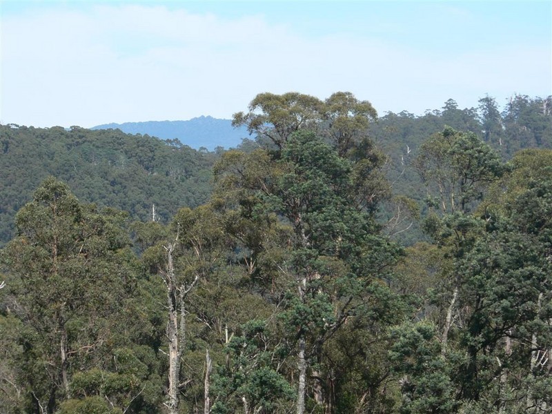 Lot 3 Lottah Road, Lottah TAS 7216