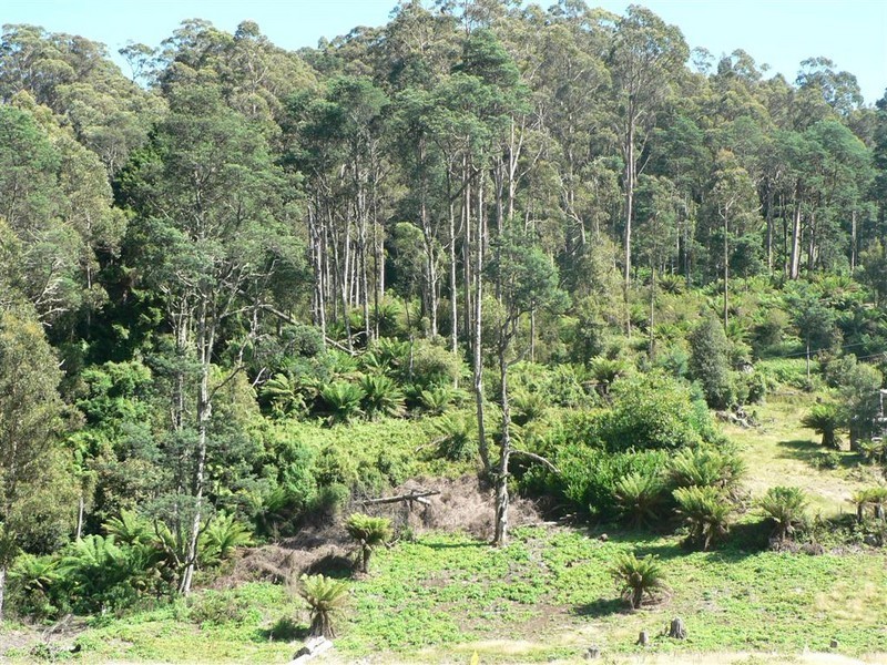 Lot 3 Lottah Road, Lottah TAS 7216